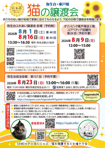 弥生台・東戸塚　猫の譲渡会