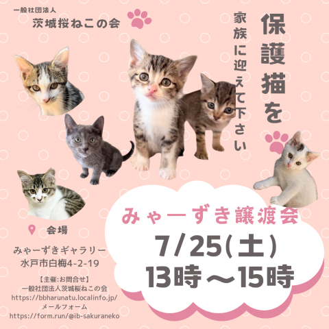 みゃーずき譲渡会