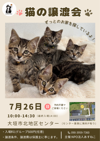猫の譲渡会を開催します