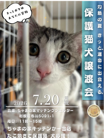 保護猫犬譲渡会