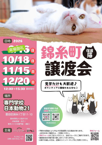 保護猫譲渡会 in 錦糸町