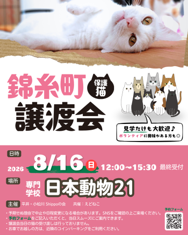 保護猫譲渡会 in 錦糸町