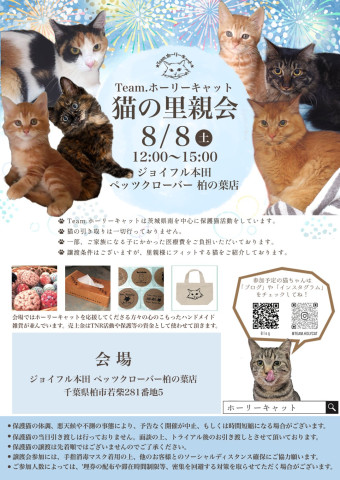 ペッツクローバー柏の葉店保護猫譲渡会