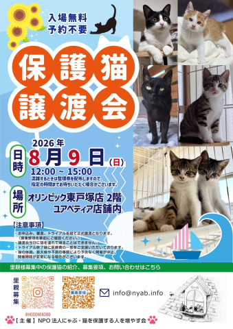 にゃぶ 保護猫譲渡会（オリンピック東戸塚）