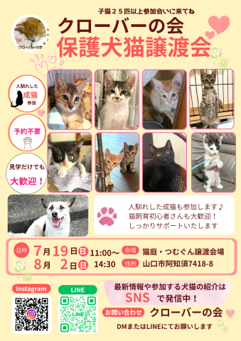 クローバーの会保護犬猫譲渡会