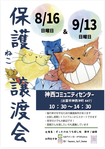 保護ねこ譲渡会