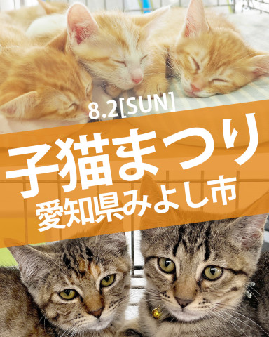 子猫まつり第4弾★みよし市