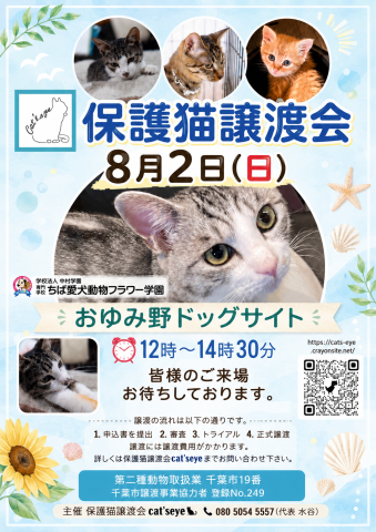 保護猫譲渡会Cat'seye