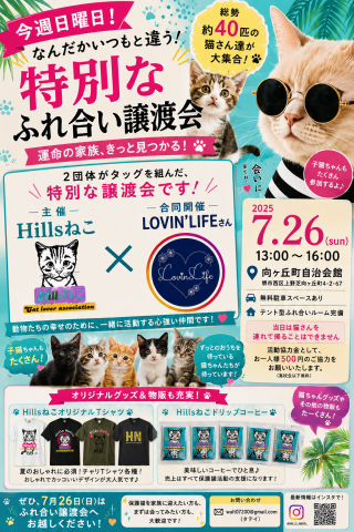 保護猫のふれ合い譲渡会