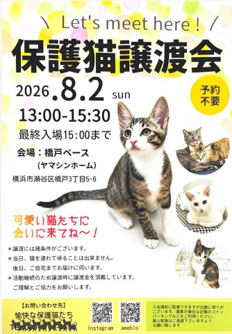 保護猫譲渡会inよこはま瀬谷