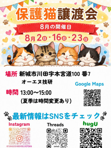 保護猫譲渡会　愛知県新城市オーエヌ技研　仔猫たくさん！