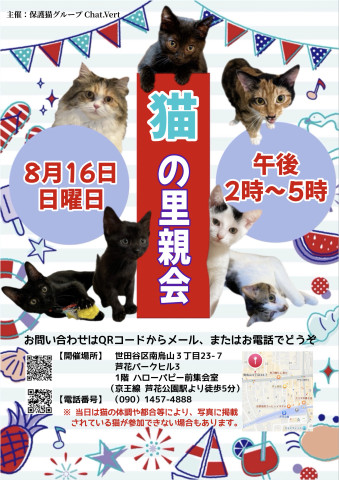 猫の里親会