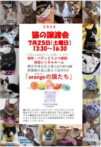 猫好きのためのSNS - 愛猫の日記や写真でユーザ交流