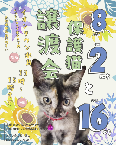保護猫譲渡会（予約不要）