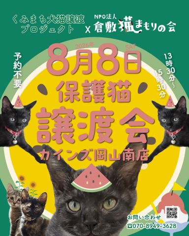 保護猫譲渡会（予約不要）