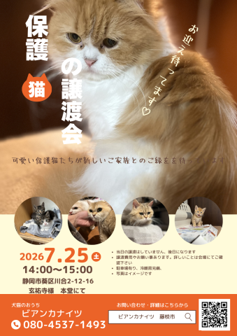 保護猫の譲渡会