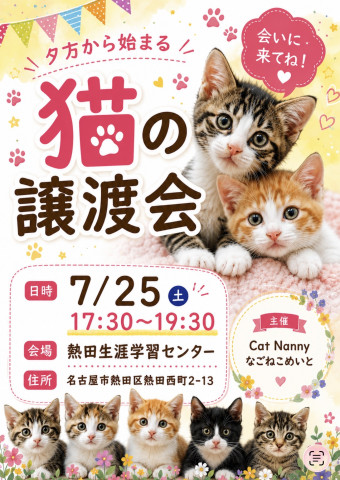 猫の譲渡会　夕方編