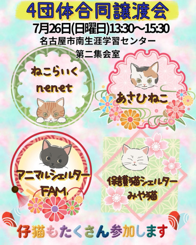 +o｡◈｡o+保護猫譲渡会ﾟ+o｡◈｡o+ﾟ