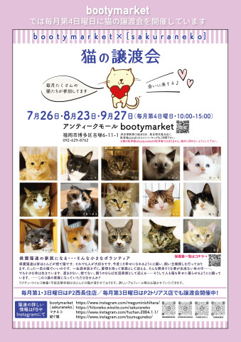 Bootymarket × [sakuraneko] 猫の譲渡会