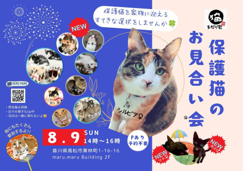 まだら家🍀保護猫のお見合い会