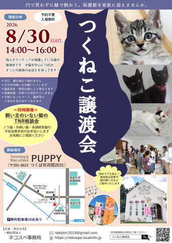 つくねこ譲渡会