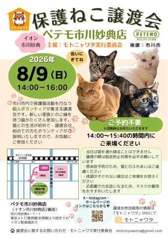 モトニャワタ保護ねこ譲渡会