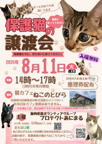 保護猫の譲渡会@猪名川町