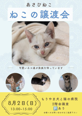 ねこの譲渡会inもりやま犬と猫の病院