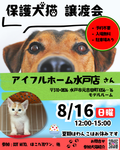 譲渡会 at アイフルホーム水戸店