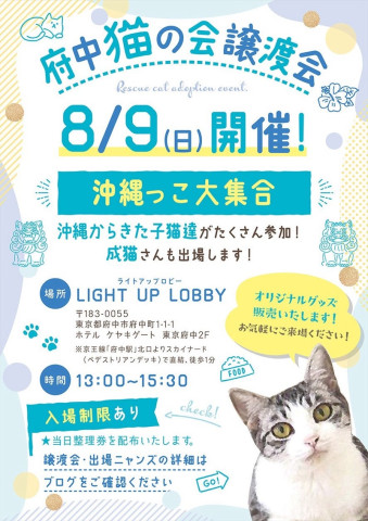 府中猫の会譲渡会