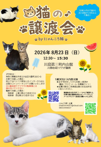 猫の譲渡会　by にゃんころ隊　8/23