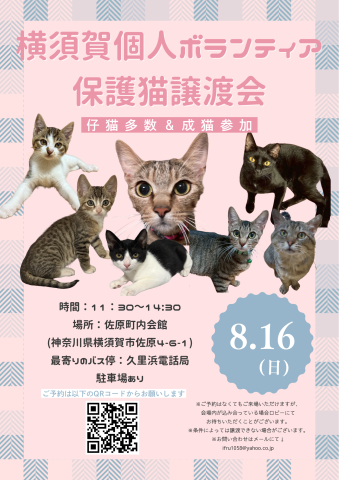 個人ボランティア合同譲渡会