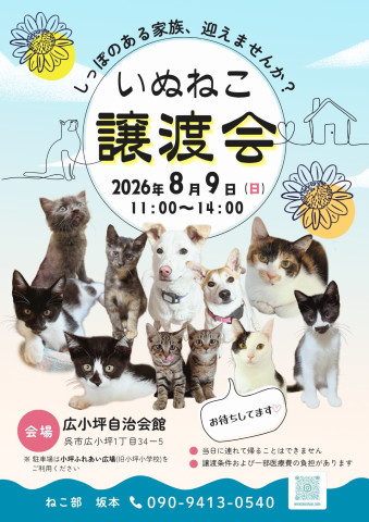 いぬねこ譲渡会