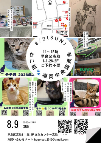 ねこ組🐾福岡中央 譲渡会