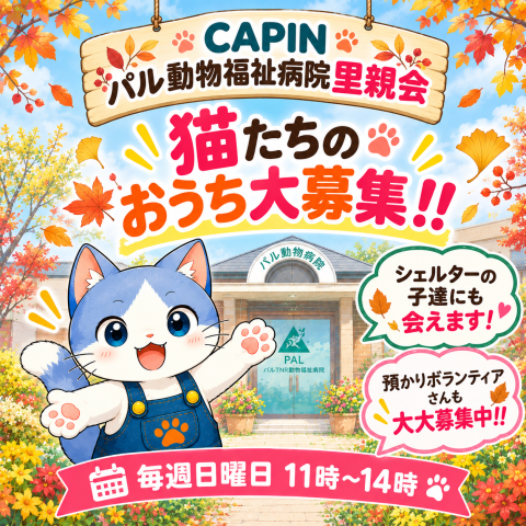 CAPIN パルTNR動物福祉病院 保護猫里親会
