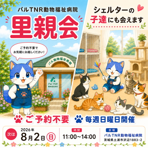 CAPIN パルTNR動物福祉病院 保護猫里親会