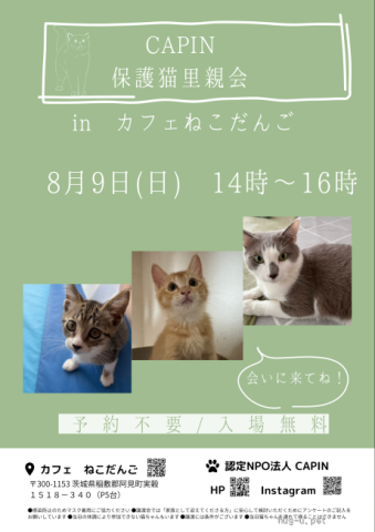 CAPIN カフェねこだんご　保護猫里親会