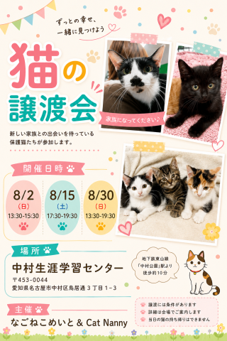 猫の譲渡会in名古屋