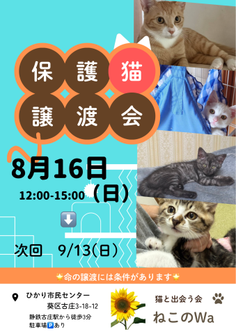 ねこのWa譲渡会　静岡市葵区