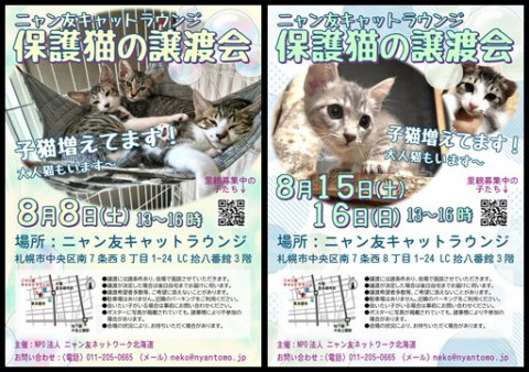 【札幌】ニャン友キャットラウンジ譲渡会〈8/8・15・16〉