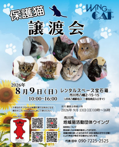 市川市地域猫活動団体ウイング譲渡会
