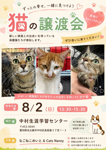 【名古屋市】中村譲渡会　なごねこめいと