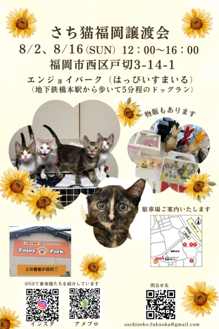 さち猫福岡譲渡会　エンジョイパーク（はっぴいすまいる）