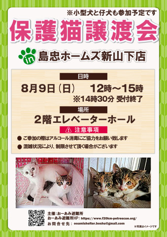 おーあみ避難所譲渡会in新山下