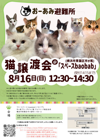 おーあみ避難所譲渡会in市ヶ尾