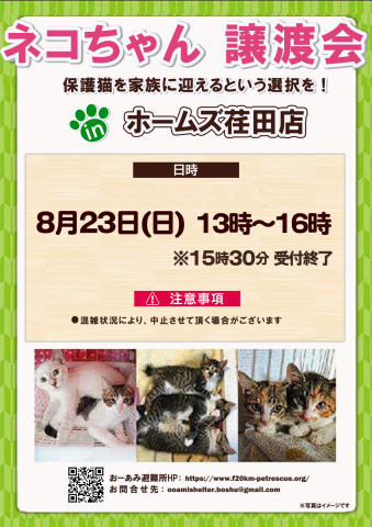 おーあみ避難所譲渡会in荏田
