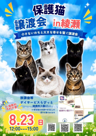 保護猫譲渡会in綾瀬