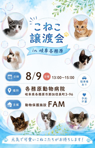 こねこ譲渡会in岐阜各務原
