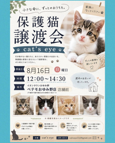保護猫譲渡会Cat'seye
