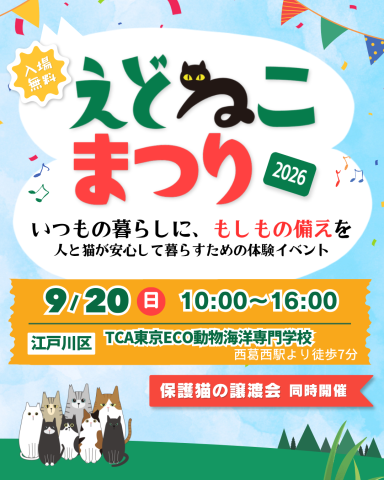 えどねこまつり 同時開催 保護猫の譲渡会
